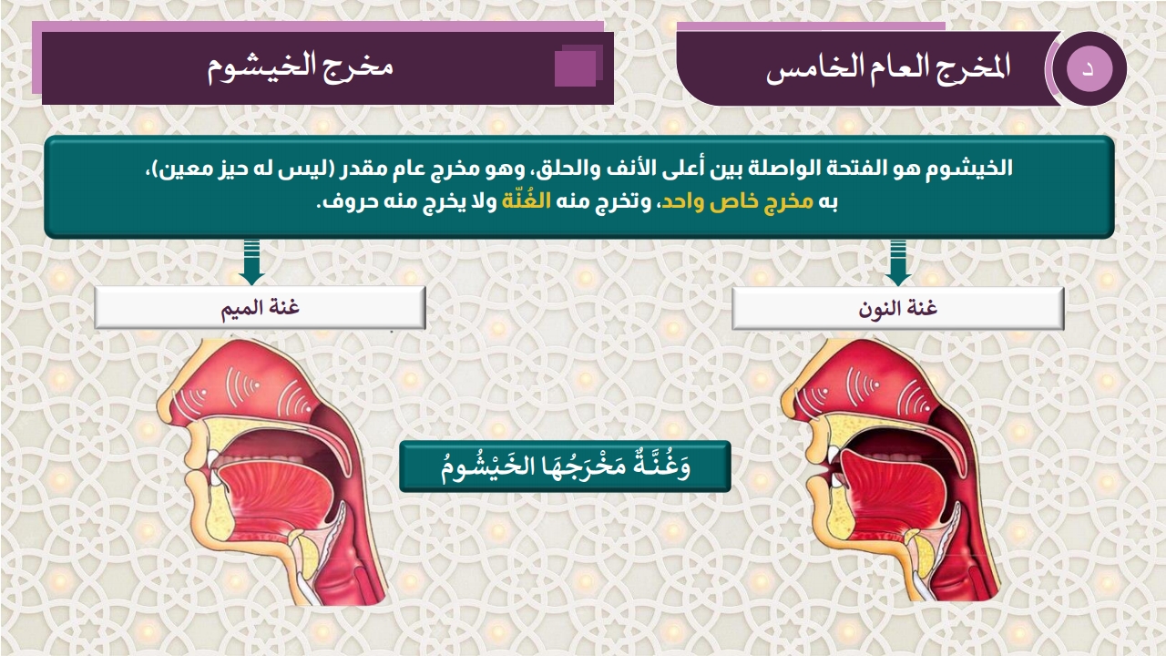 مخارج الحروف - الصفحة 19